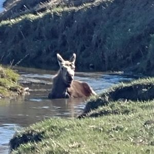 Meet your Posher, Shawn